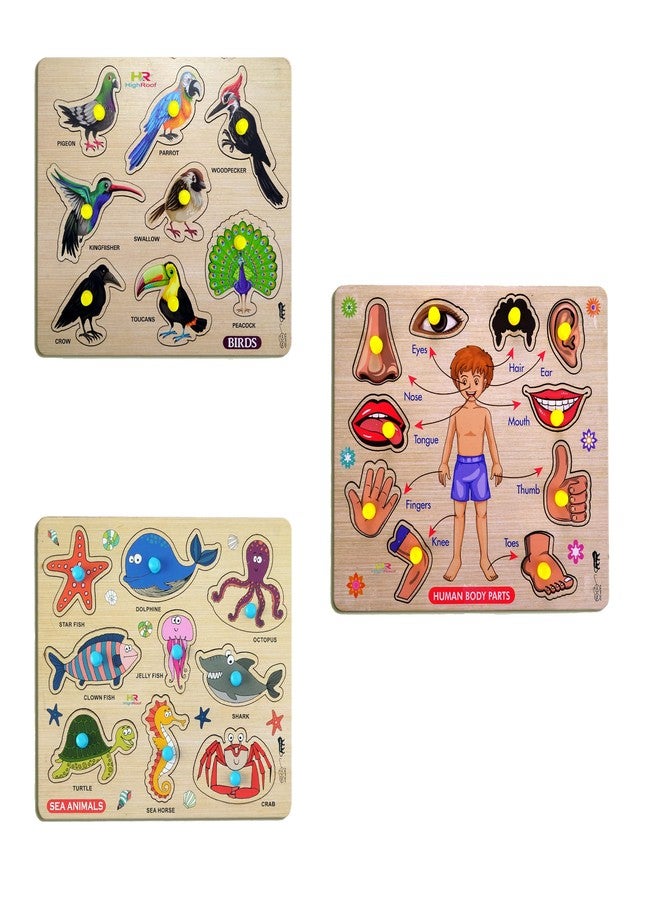 HIGHROOF® Kids Fort Pre Nursery Educational Jigsaw Puzzles for Adults Kids Learning Toys Kit Board Game 3 pcs Set of Birds Human Body Parts & Sea Animals Educational Toy - Image 1